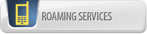 Roaming services